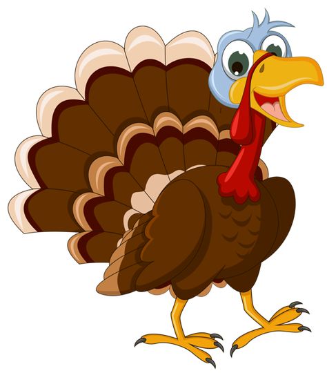 THANKSGIVING TURKEY Funny Turkey Pictures, Thanksgiving Turkey Pictures, Thanksgiving Turkey Images, Turkey Pictures, Turkey Clip Art, Turkey Drawing, Turkey Cartoon, Thanksgiving Cartoon, Thanksgiving Clip Art