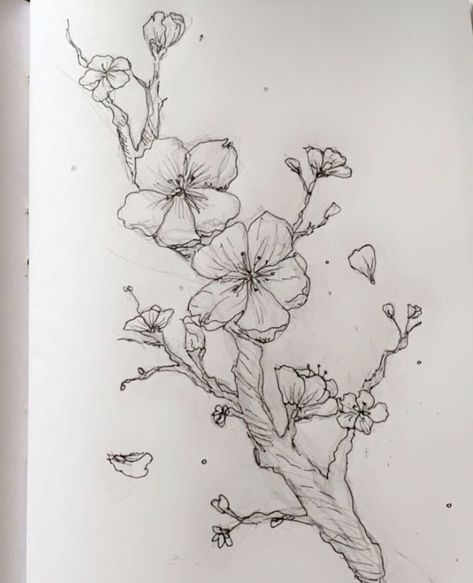 Cherry Blossom Pen Drawing, Cherry Blossom Drawing Pencil, Cherry Blossom Aesthetic Drawing, Cherry Blossom Tree Drawing Pencil, Blossom Tree Sketch, Cherry Blossom Drawing Simple, Cherry Blossom Tree Sketch, Cherry Blossom Line Art, Cherry Blossoms Drawing