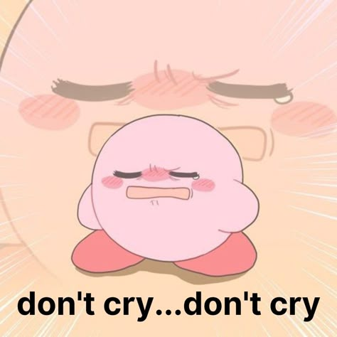 Kirby cute and funny Kirby Singing, Kirby With A Knife Wallpaper, Kirby Studying, Kirby Art Wallpaper, Kirby Pfp Aesthetic, Kirby Quotes, Kirby Reaction Pics, Kirby Memes Funny, Kirby Emoji