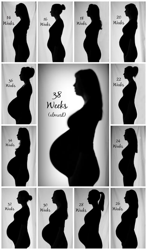 Bump Progression, Baby Bump Progression, Baby Bump Pictures, Bump Pictures, Pregnancy Belly Photos, Pregnancy Progression, Pregnancy Bump, Belly Photos, Pregnant Belly