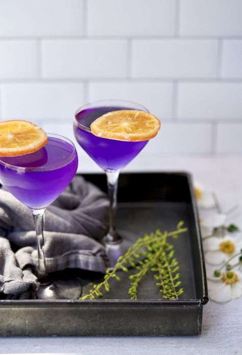 Empress Gin Martini Empress Gin, Gin Martini, Famous Drinks, Orange Wheels, Cocktails Recipes, Dry Vermouth, Halloween Cocktails, Martini Recipes, Butterfly Pea