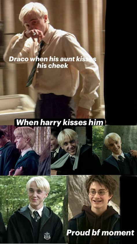 Only when he sees harry , loyal man 🤭 Darry Memes, Darry Fanart, Loyal Man, Harry Potter Parody, Drarry Fanart, Gay Harry Potter, Harry Potter Fanfiction, Harry Potter Characters, Harry Potter Funny