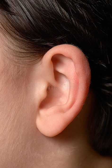 Human ear close up. Close up of anatomy of human ear , #affiliate, #close, #ear, #Human, #human, #anatomy #ad Ear References Photo, Human Ear Reference, Ear Close Up, Structure Of Ear, Ears Picture, Ears Reference, Inner Ear Anatomy, Ear Photo, Structure Of Human Ear