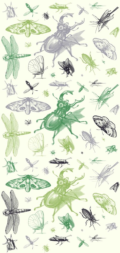 Wallpaper Backgrounds Frogs, Pinterest Wallpaper, Bug Background, Owl Phone Wallpaper, Insects Wallpaper, Outdoorsy Wallpapers, Granny Wallpaper, Bug Aesthetic Wallpaper, Bug Wallpaper Aesthetic