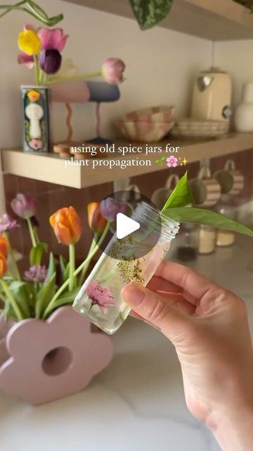 Real Homes on Instagram: "Looking for a way to propagate your plants? 🌱🌿  This fun recycling DIY from @thebrickhousejungle is a great way to reuse old glass jars to bring new life and greenery into your home.   #plantpropagation #pressedflowerart #diyhomedecor #diycrafts #recyclecraft #myrealhome" Reusing Glass Jars, Reuse Glass Jars, Plants In Glass Jars, Recycling Diy, Plants In Jars, Decorative Glass Jars, Small Glass Bottles, Real Homes, Old Spice