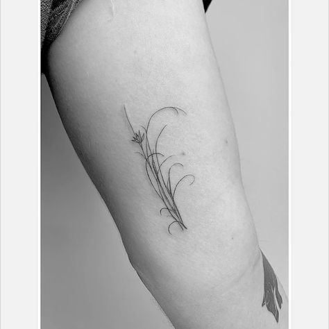 REED AND FLOWER #reedflower #flower #reed #singleneedle #singleneedle #tattooedgirls #tattoosofinstagram #finelinetattoo Reed Tattoo, Skin Doodles, Horsetail Reed, Fineline Tattoos, Fine Line Tattoos, Line Tattoos, Simple Tattoos, Girl Tattoos, Flower Tattoo