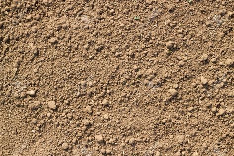 Dirt Texture, Peat Soil, Texture Palette, Road Texture, Earth Texture, Soil Texture, Acid Loving Plants, Rock Textures, Plant Nutrients