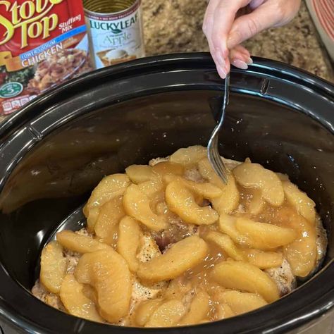 Adding apples to the top of pork chops in a crockpot. Pork Chops With Apples And Cranberries, Apple In Crockpot, Pork Chops With Apple Sauce, Slow Cooker Apple Pork Chops, Pork Chops With Stove Top Stuffing Crock Pot, Baked Pork Chops With Apples And Onions, Pork Chops In A Crockpot, Pork Chop Apple Recipes Crockpot, Pork Chop And Apple Recipes Crock Pot