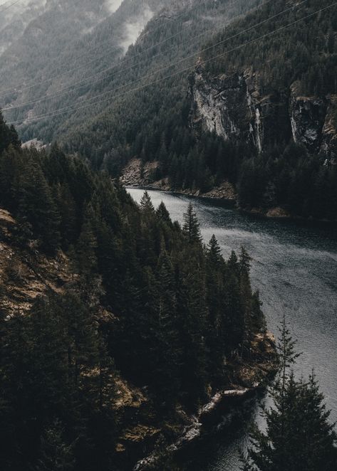 Gray Nature Aesthetic, Dark Naturalism, Dark Forest Aesthetic, Dark Green Aesthetic, Places In The World, Travel Places, Beautiful Places Nature, Most Beautiful Cities, Beautiful Places In The World