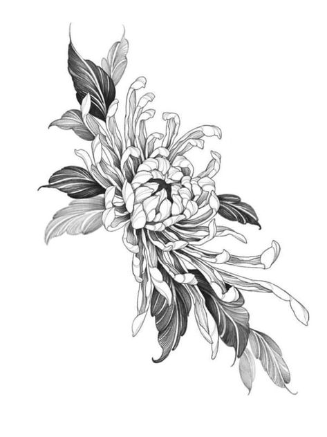 Chrysanthemum Leg Tattoo, Chrysanthemum Flower Tattoo Design, Flower Tattoo Chrysanthemums, Chrysanthemum Tattoo Design, Crisantemo Tattoo, Chrysanthemum Flower Tattoo, Chrysanthemum Design, Floral Back Tattoos, Chrysanthemum Tattoo