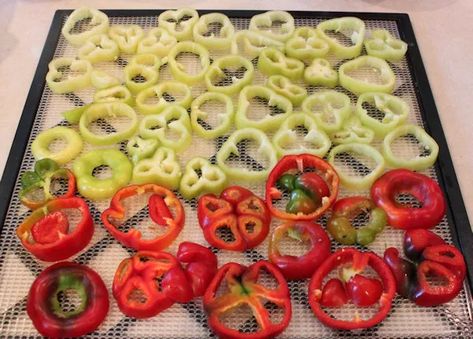 Dehydrating Peppers, Dehydrated Peppers, Drying Apples, Drying Peppers, Healthy Liver Diet, Freezing Herbs, Slow Roasted Tomatoes, Apple Leather, Dried Peppers