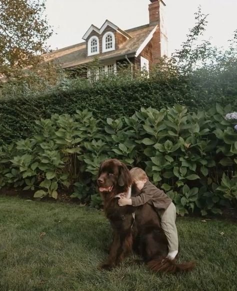 Family Dog Aesthetic, Big Dog Aesthetic, Vision Board Dog, Big Family Aesthetic, Big Doggies, Kids With Dogs, I Need A Big Boy, Family Dog Photos, Dog And Baby