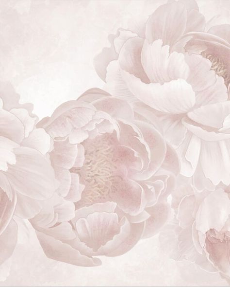 Watercolor  Look Blush Peony Wallpaper Pink Peonies Wallpaper, Blush Peonies, Peony Wallpaper, Wallpaper Roller, Banksy Graffiti, Floral Nursery, Standard Wallpaper, Kingdom Of Heaven, Popular Wallpaper