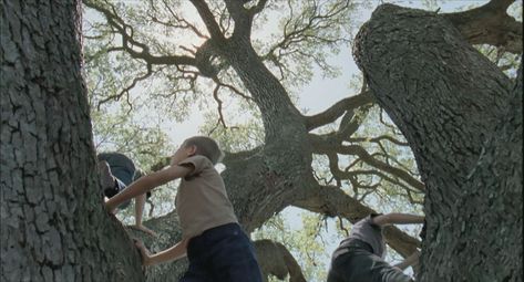 Terrence Malick, Ali Michael, Sean Penn, Movie Shots, Best Director, Film Inspiration, The Tree Of Life, Great Films, Parkour