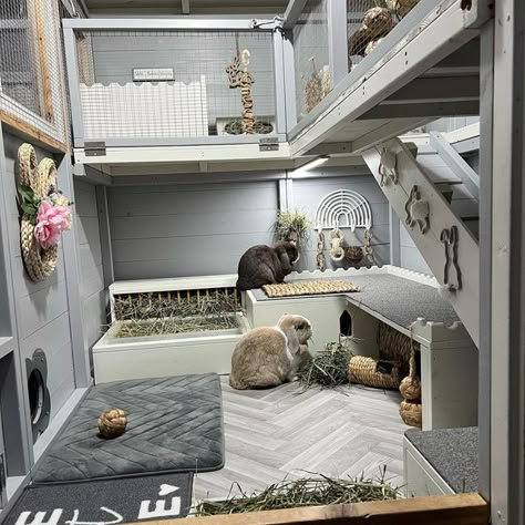 Rabbit Furniture Diy, Rabbit Rooms Indoor, Luxury Rabbit House, Rabbit Incloser, Large Indoor Rabbit Enclosure, Rabbit Room Setup, Outside Bunny Enclosure, Rabbit Mansion, Rabbit Indoor House Ideas