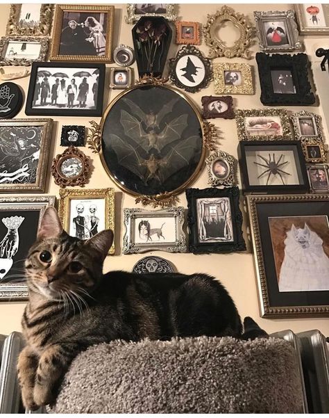 Lovely Goth Decor Diy, Gothic House Decor, Dark Home Decor, Goth Home, Goth Home Decor, Dark Home, Goth Decor, Concept Home, Witchy Decor