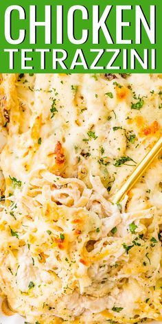 Chicken Tetrazzini recipe is an easy, cozy, and delicious casserole dish! Fettuccine, chicken, mushrooms, and peas are baked into a creamy cheese sauce with tons of flavor! It’s an instant family favorite! #chickenrecipe #pastarecipe #chickentetrazzini Fettuccine Chicken, Chicken Tetrazzini Casserole, Chicken Casserole Recipes Healthy, Chicken Tetrazzini Recipes, Creamy Cheese Sauce, Easy Chicken Casserole Recipes, Chicken Mushrooms, Instant Family, Chicken Tetrazzini