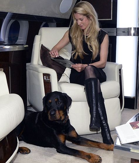 How you (and your pets) can fly on a private jet for less than the cost of easyJet | Daily Mail Online Rich Lady, Jet Airlines, Private Jet Travel, Train A Puppy, Private Planes, Private Jet Interior, Luxury Helicopter, Easy Jet, Diamond Teeth