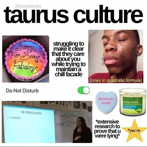 Taurus In Relationships, Taurus Vibes, Taurus Funny, About Taurus, Eye Thoughts, Taurus Memes, Zodiac Things, Aries And Gemini, Taurus Zodiac Facts