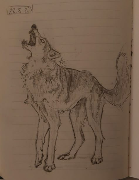 Wolves Drawing Reference, Wolf Drawing Sketch Realistic, Werewolf Art Reference, Wolf Reference Drawing, Wolf Paw Drawing, Dog Art Reference, Animal Reference Drawing, Wolf Cut Drawing Reference, Cat Art Reference