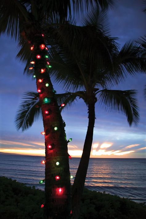 christmas lights on house exterior Christmas In Hawaii Aesthetic, Christmas Lights House, Christmas In Hawaii, Hawaii Holiday, Hawaii Christmas, Lights Aesthetic, Florida Christmas, Christmas House Lights, Professional Lightroom Presets