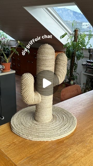 Diy Cactus Scratching Post, For Cats Diy, Diy Cat House Indoor, Cat Diy Projects, Diy Cat Scratcher, Diy Chat, Hello Cat, Kat Diy, Chat Diy