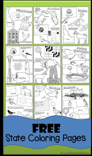 FREE State Coloring Pages to help kids learn about all 50 united states, perfect for preschool, prek, toddler, kindergarten, first grade, second grade, third grade, and fourth grade State Coloring Pages, 123 Homeschool 4 Me, Us Geography, Geography For Kids, 4th Grade Social Studies, Country Studies, Teaching Geography, States And Capitals, Homeschool Geography