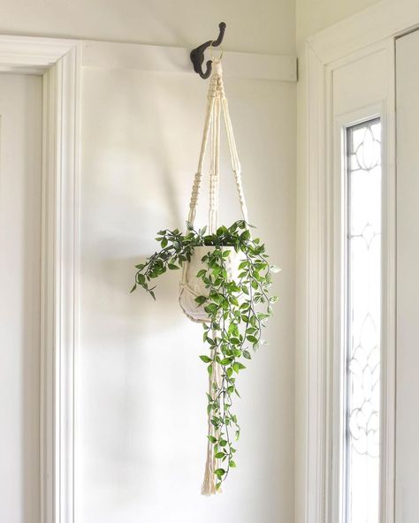 Taron Teague - Fiber Artist on Instagram: “DIY Plant Hanger Kit update...⁣ ⁣ After countless rounds of edits and photoshoots, sending it to my sister to test, more edits, more…” Blanket Ladder Plant Hanger, Hanging Plants Bedroom, Macrame Plant Hanger Ideas, Outdoor Garden Decor Ideas, Interior Decor Aesthetic, Vertical Plant Wall, Pampas Decor, Therapy Office Ideas, New Room Design