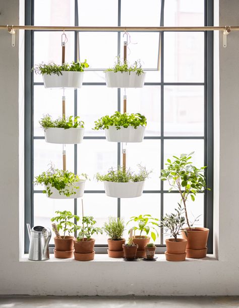 Got garden dreams but only a small apartment? Try extending your windowsill by hanging pots. Mini Serre, Koti Diy, Ikea Wall, Window Plants, نباتات منزلية, Apartment Plants, Basement Windows, Indoor Window, Diy Ikea