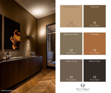 Pure Original Paint, Brown Wall Color, Brown Wall Paint, Brown Interior Paint, Brown Hallway, Pure And Original, Indochine Interior, Mens Bathroom, Hallway Colours