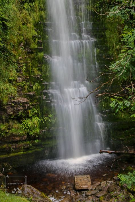 The bottom of Devil's Chimney, Ireland. #Waterfall #water #chasing_waterfalls #nature #landscape #trees #rocks #Devils_Chimney #Ireland @NiksImages @travelireland @Traveliremag @wallpaperable Chasing Waterfalls, Landscape Trees, Nature Landscape, Places To Visit, Trees, Water, Nature