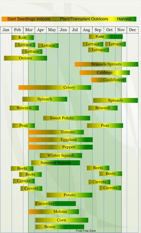 Zone 8 Vegetable Planting Calendar/Schedule - VeggieHarvest.com Zone 8 Gardening, Vegetable Planting Calendar, Vegetable Planting Guide, Seedlings Indoors, Zone 8b, Vegetable Planting, When To Plant Vegetables, Texas Garden, Planting Calendar