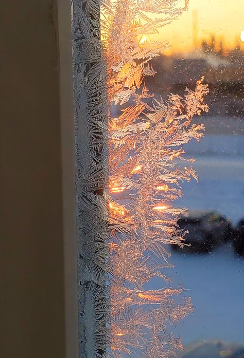 Winter's morning light, hoarfrost, frozen Ice On Window, Frosted Aesthetic, Frost Aesthetic, Frozen Window, Frost Pattern, Morning Frost, Frosted Windows, Cold Morning, Ice Crystals