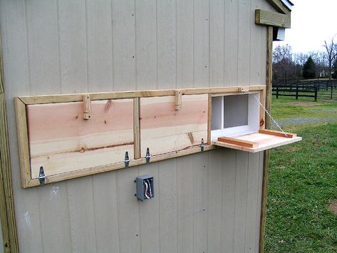 Outside Doors to the Nesting Boxes Nesting Boxes Diy, Chicken Nest, Cute Chicken Coops, Chicken Coop Garden, House Upgrades, Backyard Chicken Coop Plans, Chicken Nesting Boxes, Backyard Farm, Chicken Tractors