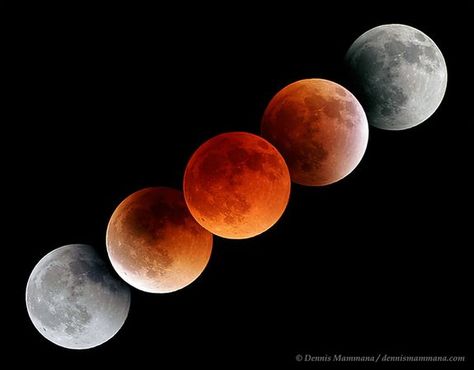 Lunar Eclipse 2011 December. The upcoming Lunar Eclipse this April. 14-15, 2014 will look similar to this with the beautiful reddish hues. Sun Space, Total Lunar Eclipse, Energy Tips, Advantages Of Solar Energy, Used Solar Panels, Shoot The Moon, Moon Eclipse, Solar Energy Panels, Green Power