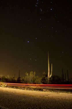 Southwest Gothic, Desert Night, Desert Aesthetic, Starlit Sky, Desert Dream, California Desert, Welcome To Night Vale, Night Vale, Desert Vibes