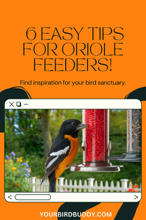 Welcome to the delightful world of birdwatching and DIY projects combined! Creating your own oriole feeders is not only a cost-effective way to invite these vibrant birds into your yard but also an incredibly fulfilling activity. By following a few simple diy oriole feeder steps, you can provide a welcoming environment tailored to the unique preferences of orioles. Oriole Bird Feeders Diy, Oriole Bird Feeders, Vibrant Birds, Oriole Bird, Diy Bird Feeder, How To Attract Birds, Birdwatching, Bird Drawings, Simple Diy