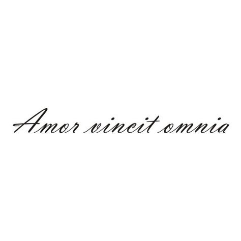 Love conquers all Amor Vincit Omnia Tattoo Fonts, Latin Quote Tattoos For Women, Italian Quote Tattoos, Music Girl, Foot Tattoos For Women, Love Conquers All, Wrist Tattoos For Women, Gossip News, Latin Words