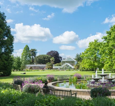 Cambridge Botanical Gardens, Classifying Plants, Garden Ideas Uk, Formal Garden Design, Botanic Garden Wedding, Water Fountain Design, Cambridge Uk, Cambridge England, Formal Garden