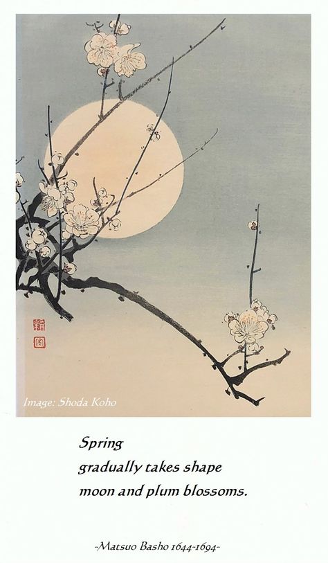 Plum Blossom Aesthetic, Plum Blossom Drawing, Plum Quotes, Draw Wings, Japanese Poem, Japanese Haiku, Japanese Poetry, Haiku Poetry, Ancient Drawings