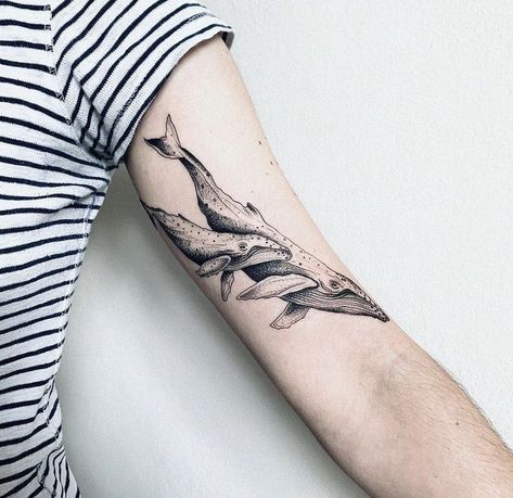 Wale Shark Tattoos, Whale Arm Tattoo, Antarctica Tattoo, Whale Tattoo Arm, Humpback Tattoo, Realistic Nature Tattoo, Wale Tattoos, Sea Sleeve Tattoo, Whale Tattoo Design