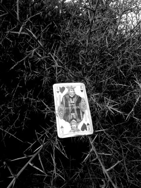 King Of Hearts Card Aesthetic, King Of Hearts Aesthetic, Cards Aesthetic, Descendants Dr, King Of Hearts, Poker Cards, Dark Night, Blackjack, Descendants