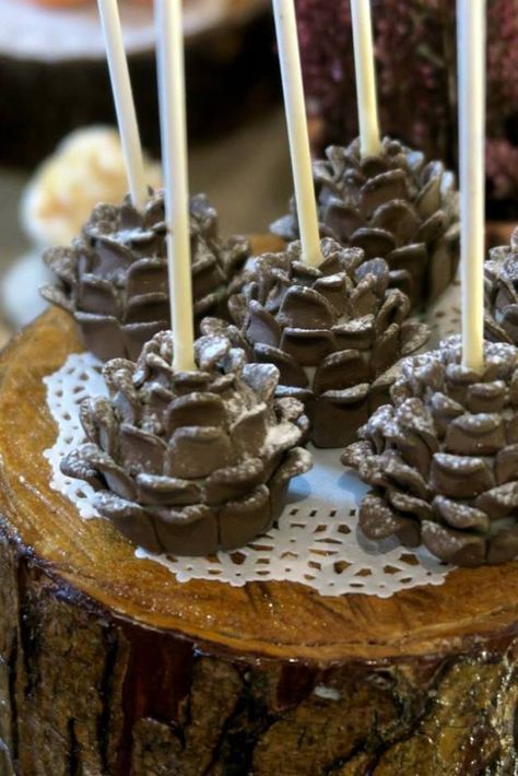 Rustic-Autumn-Themed-Birthday-Pinecone-Cakepops Lumberjack Cake Pops, Woodland Cake Pops, Winter Bridal Shower Themes, Fall Cake Pops, Bridal Shower Themes, Cone Cake, Nature Party, Cupcake Shop, Ice Bar