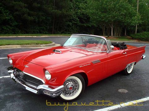 1957 Ford Thunderbird T Birds Grease, C5 Z06, 1957 Ford Thunderbird, Good Luck Chuck, Convertible Cars, C7 Stingray, Lifted Chevy Trucks, Lifted Chevy, Corvette Convertible