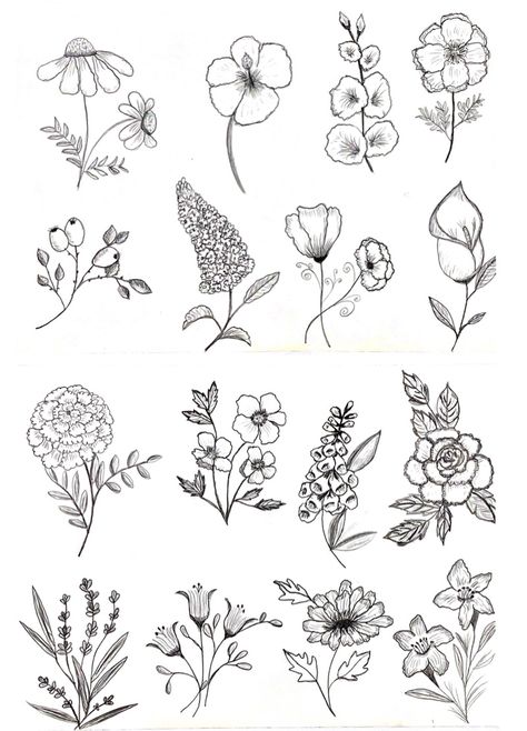 Flower Reference Drawing Sketch, Botanical Doodles Flower, Plant Sketches Doodles, Botanical Drawings Black And White, Flower Drawing Sketches, Red Rose Tattoo Design, Flower Sketch Pencil, Procreate Pattern, Rose Drawing Simple