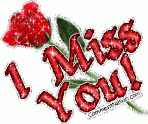 Flower I Miss You Sticker - Flower I Miss You Miss You - Discover & Share GIFs Stephen Mulhern, Miss U My Love, Feeling Silly, Sorry Images, Miss You Images, I Miss You Wallpaper, Beau Gif, I Miss You Quotes For Him, Rose Image