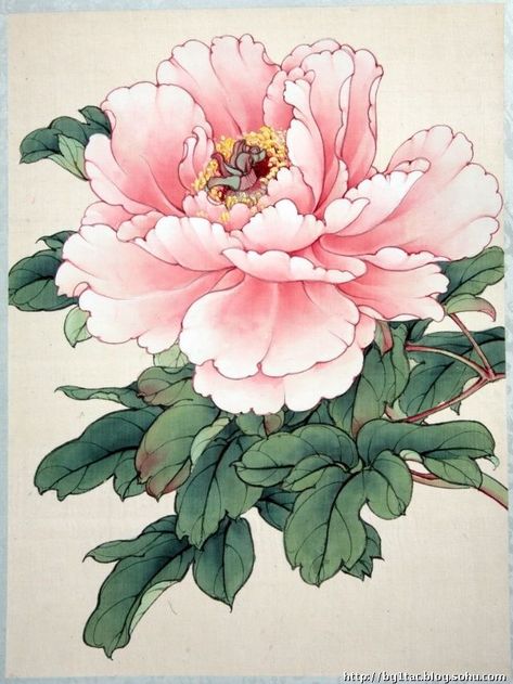 Fleurs Art Nouveau, Peony Art, Peony Painting, Plant Drawing, Japanese Flowers, Korean Art, Japanese Painting, Arte Floral, Botanical Illustration