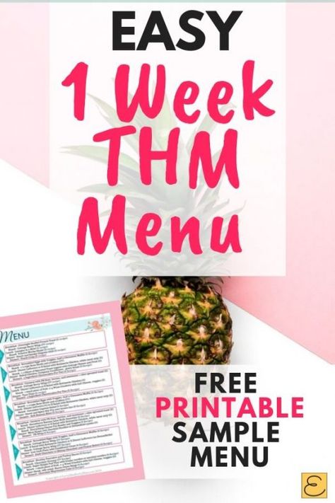 This easy, customizable THM Meal Plan is perfect for beginners or anyone who wants to stay on plan! Adjust this simple weekly menu to your tastes and use it again and again! No special ingredients needed! I love how easy it is to stay on plan with Trim Healthy Mama with this THM menu. #trimhealthymama #trim #thm Trim Healthy Mama Meal Plan, Thm Meal Plans, Trim Healthy Mama Diet, Reduction Diet, Medicine Tips, Trim Healthy Mama Recipes, Baking Soda Beauty Uses, Ketogenic Diet Meal Plan, Thm Recipes