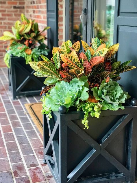 32 beautiful fall planters & outdoor decoration ideas for autumn & Thanksgiving porch & garden, using mums, flowers, pumpkins, kale, etc! – A Piece of Rainbow, container gardening, garden design, landscaping, curb appeal, autumn, patio, pots, backyard, home décor, Thanksgiving Fall Outdoor Planter Ideas, Fall Potted Plants, Shade Plants Container, Full Sun Container Plants, Fall Container Plants, Fall Flower Pots, Fall Pots, Container Garden Ideas, Fall Container Gardens