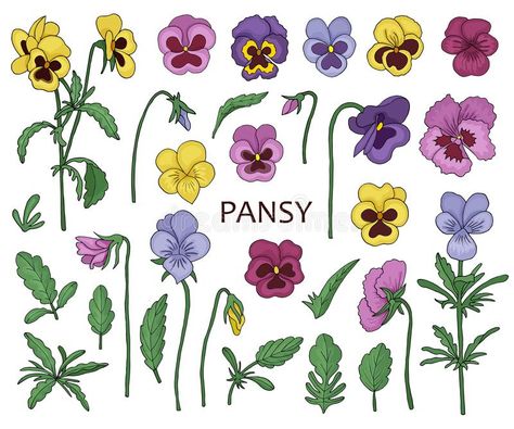 Flowers of pansies. Elements for creating illustrations. Sketch style , #Sponsored, #Elements, #pansies, #Flowers, #creating, #style #ad Pansy Drawing, Pansy Pattern, Pansy Flower, Pansies Flowers, Sketch Style, Illustration Sketches, Design Display, Display Ideas, Botany